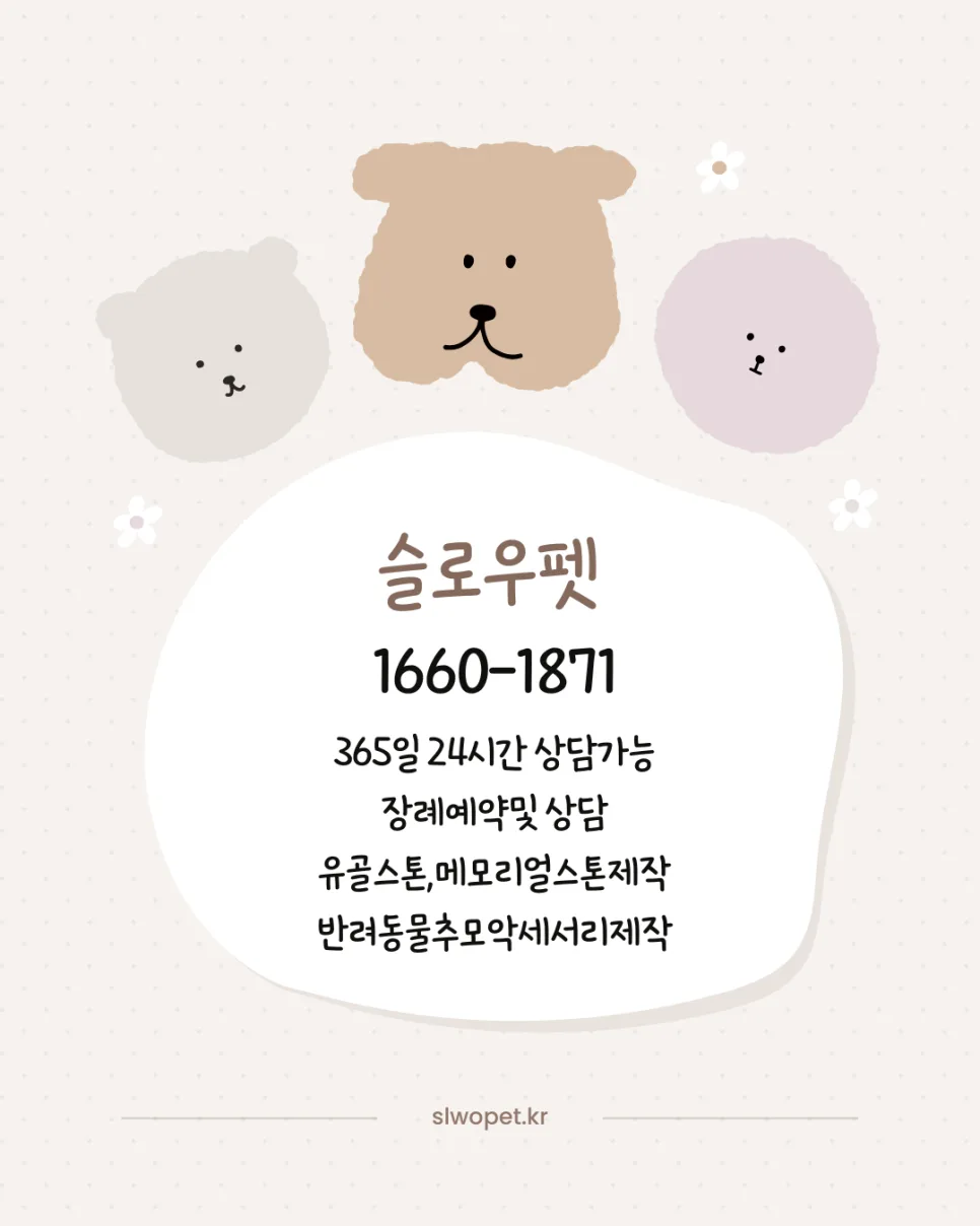 부산 강아지 장례 2026: 합법적 장례식장 찾는 3가지 기준