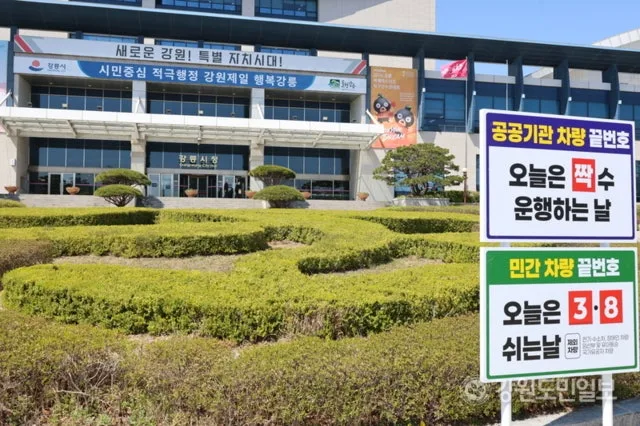 자동차 보험료 인하 2026: 5·2부제 따른 요율 조정 발표 임박
