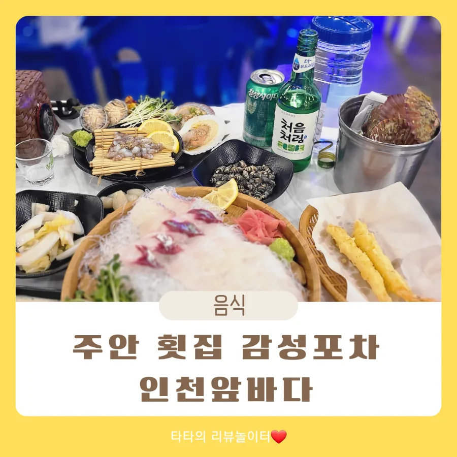 주안 횟집 추천 2026: 감성포차 '인천앞바다' 메뉴와 후기 총정리