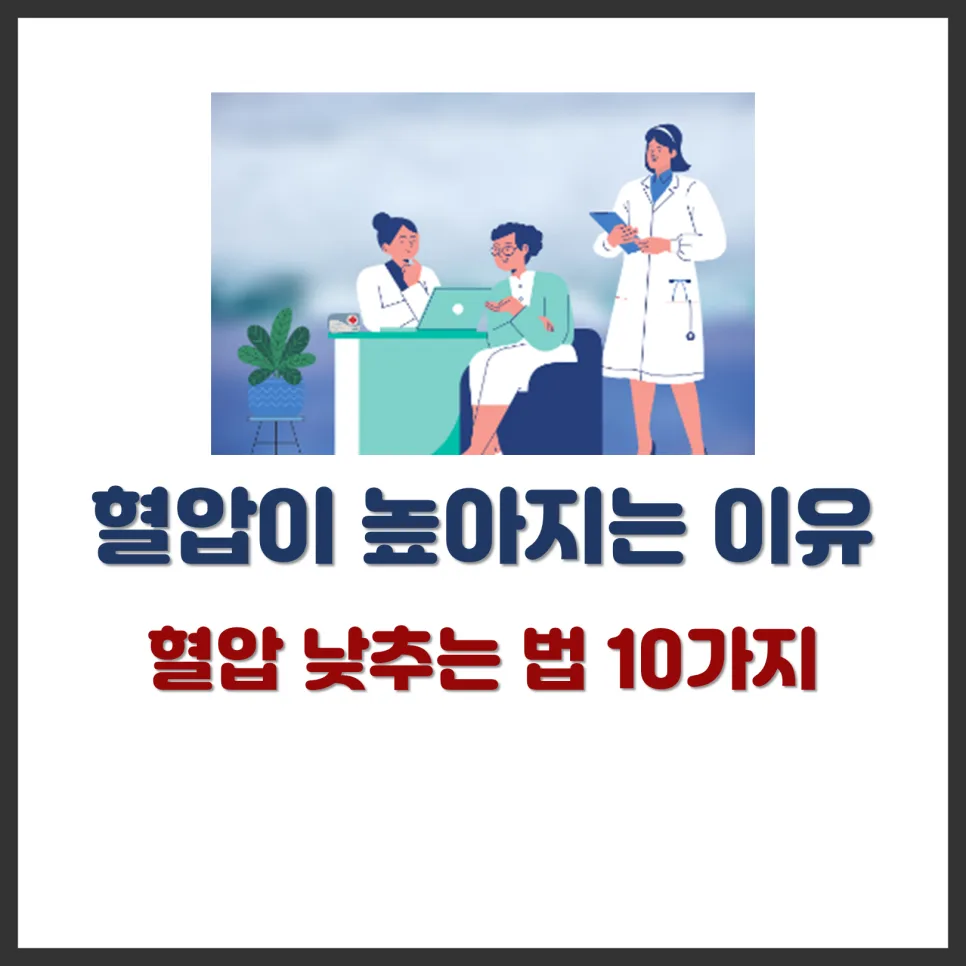 혈압 낮추는 생활 습관 10가지 2026년 총정리