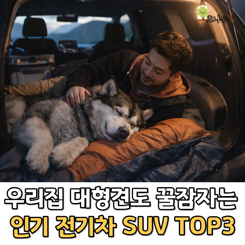 대형견과 떠나는 전기차 SUV 여행 2026: EV9, 모델 Y, 아이오닉 5 비교