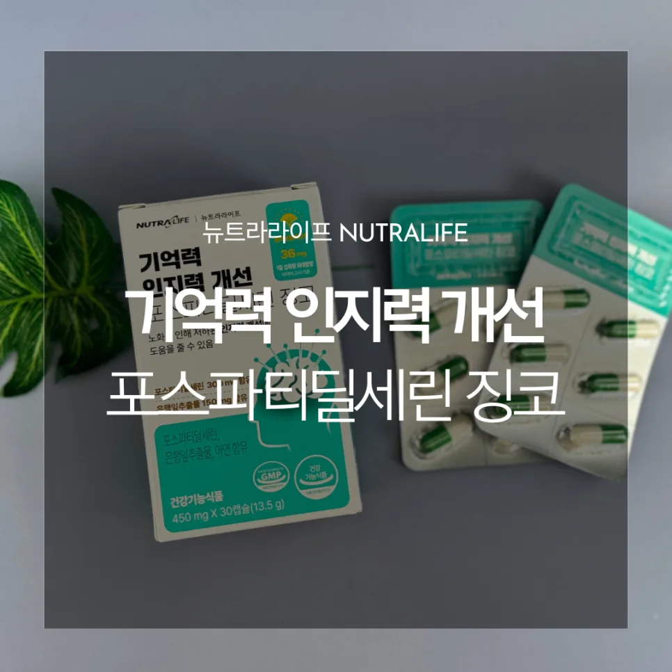 기억력 영양제 2026년 최신 정보: 포스파티딜세린 효과와 복용법