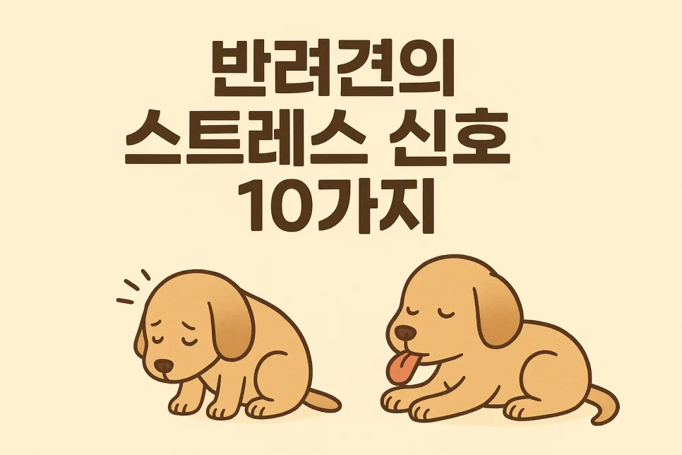 반려견 스트레스 신호 10가지: 행동 변화와 보호자 대처법 2026