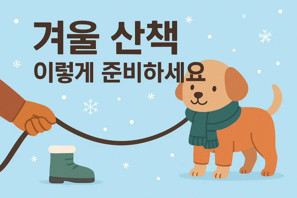 2026년 겨울 강아지 산책법: 체온 유지와 안전 수칙 총정리