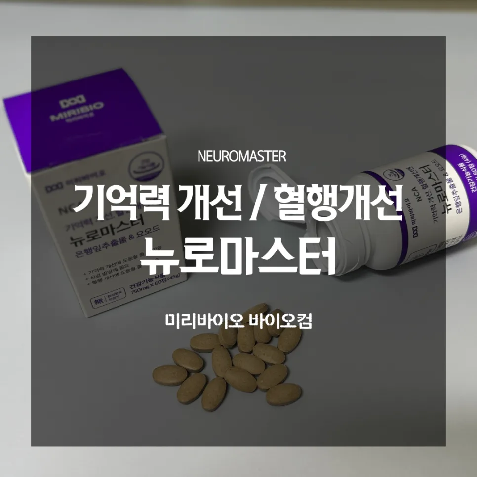 뇌 건강 영양제, 은행잎추출물 효과와 선택법 2026년 총정리