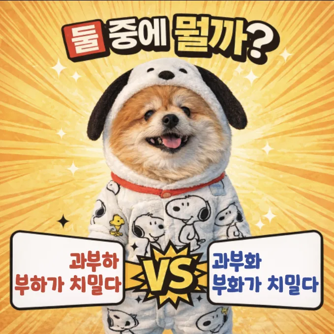 과부하 vs 부아: 2026년, 헷갈리는 맞춤법 완벽 정리