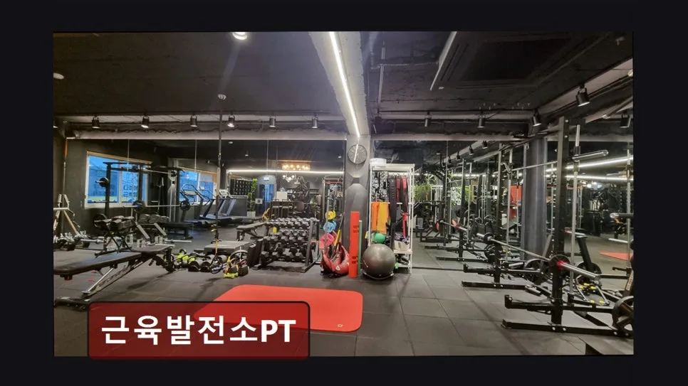 홍대 PT 2026: 근육발전소, 맞춤 지도 효과 직접 확인