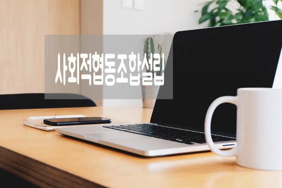 장애인 활동지원 사회적협동조합 설립 절차 2026 완벽 가이드