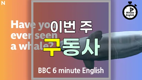 영어 구동사 활용법: go with, think about, listen to, add to 2026