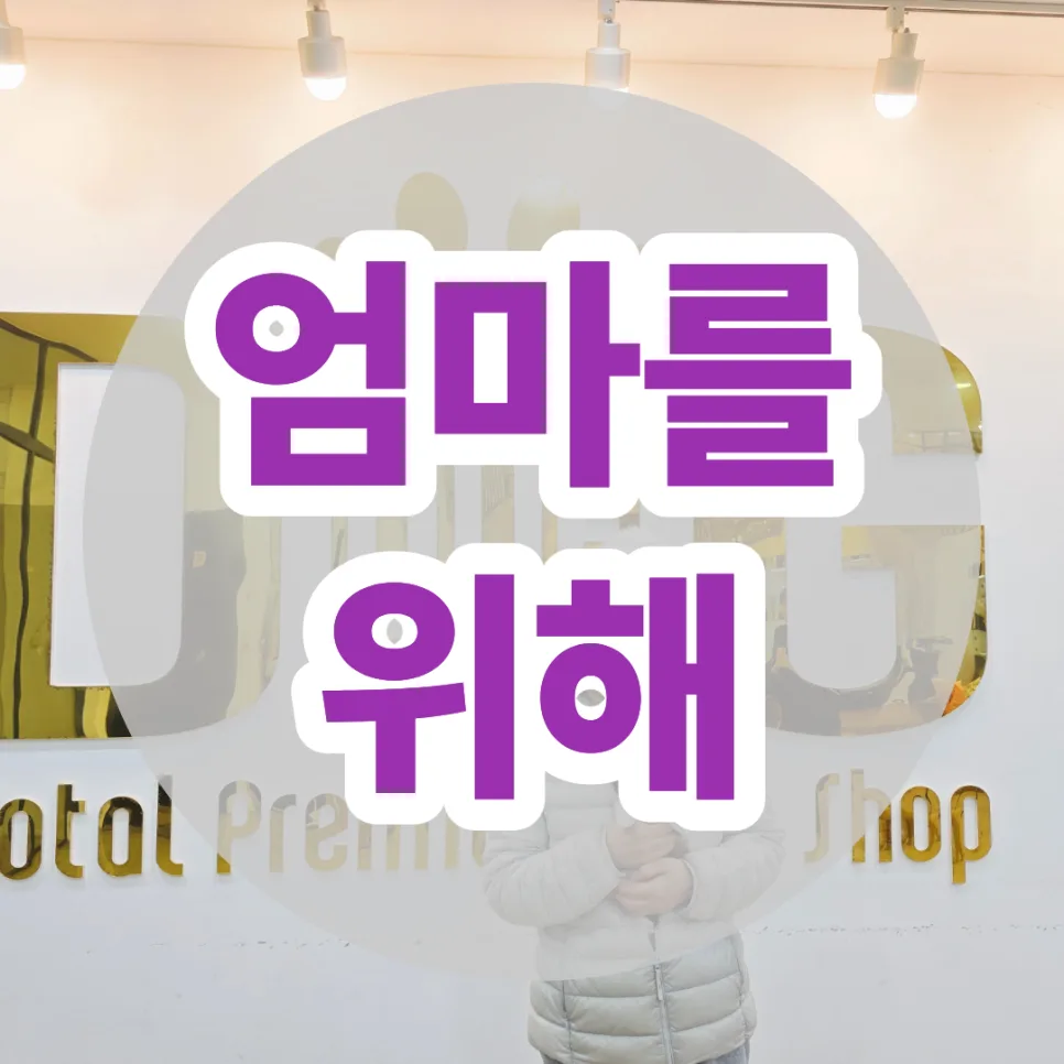 시츄 강아지 분양 2026: 어르신과 반려견, 따뜻한 인연 만들기