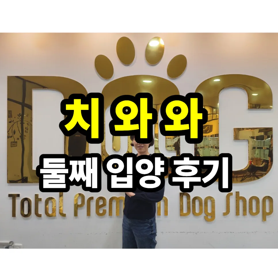 세종시 강아지 분양 2026: 11년 신뢰 원독, 둘째 입양까지 선택받은 이유 2