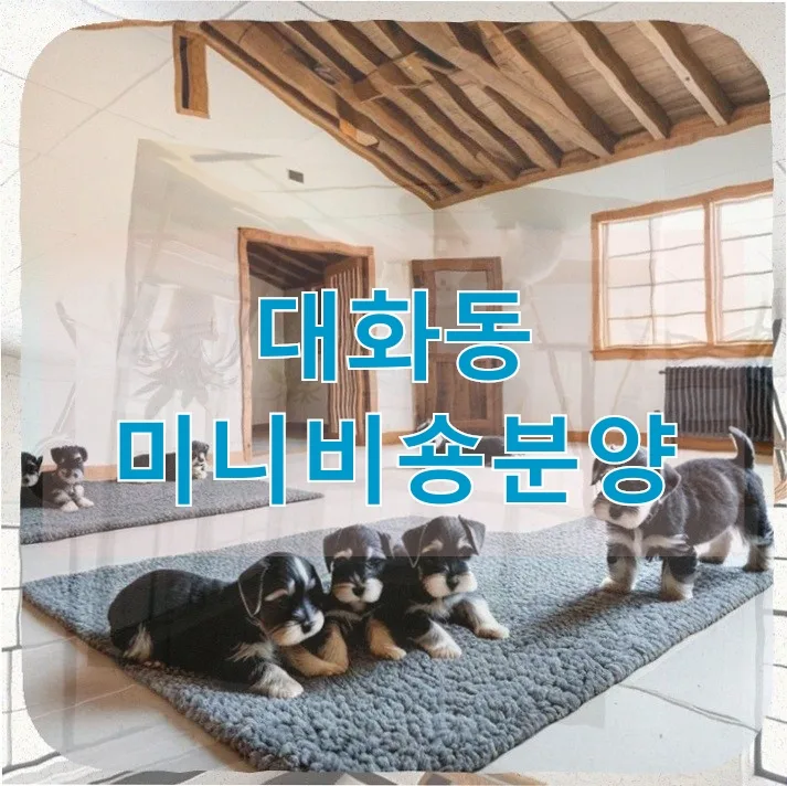 대화동 미니비숑 무료 분양, 숨겨진 위험과 올바른 선택 2026