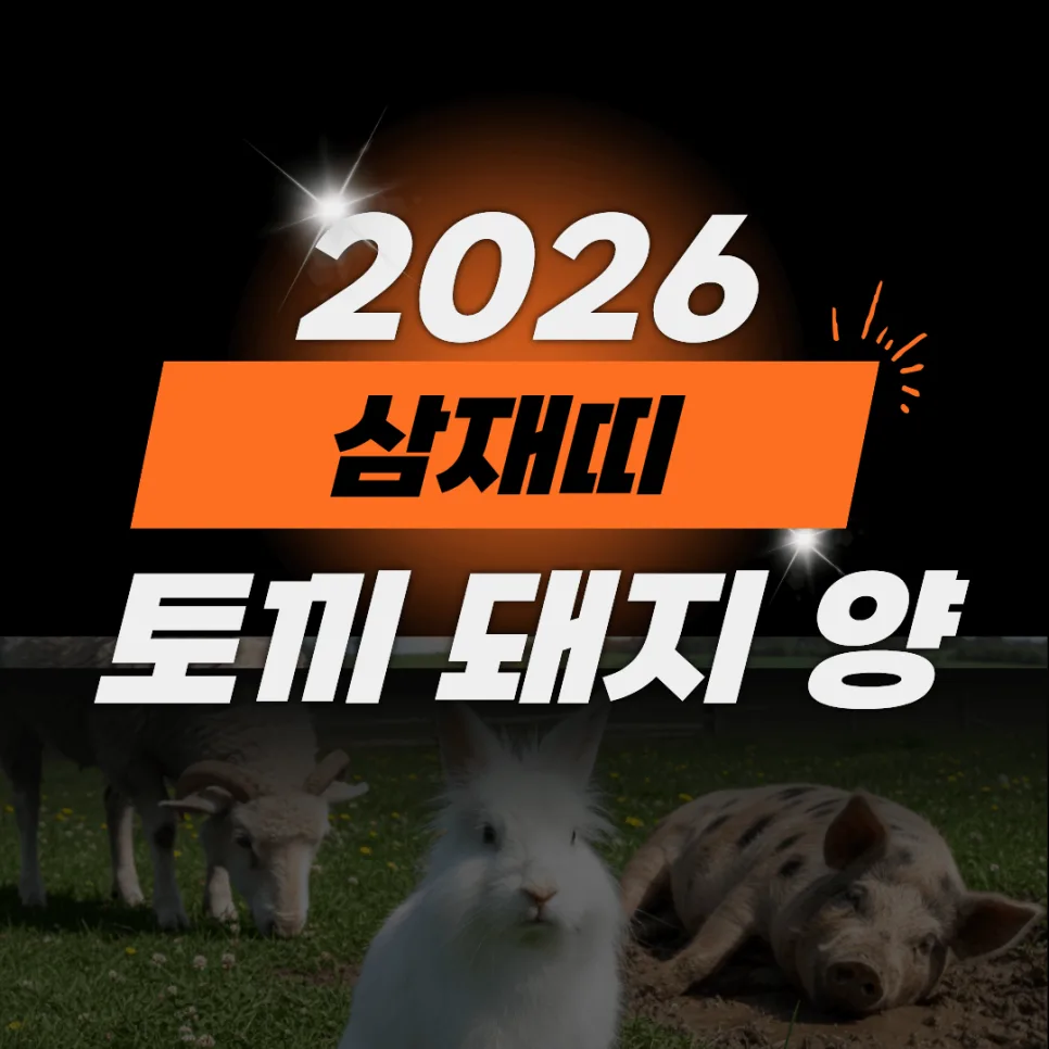 2026년 눌삼재, 토끼·양·돼지띠 운세와 삼재 주기 완벽 분석