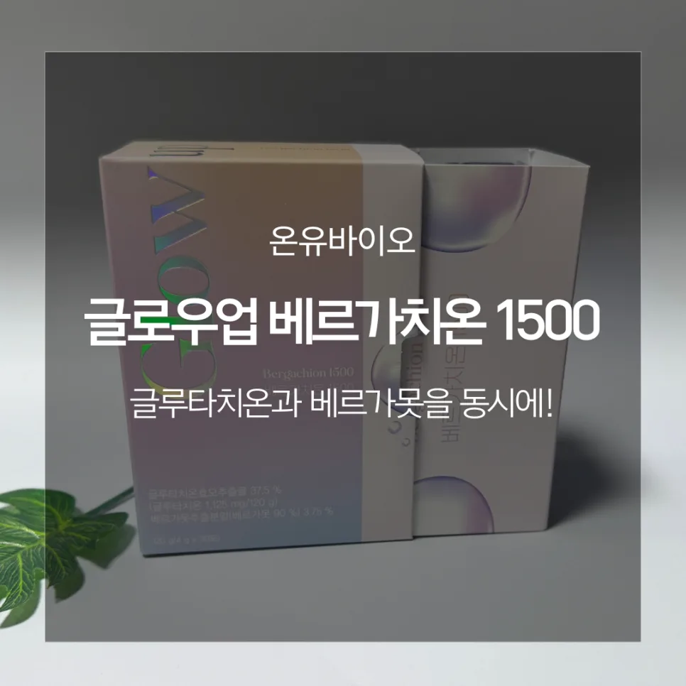 글루타치온 베르가못 1500mg, 효능과 섭취법 2026년 총정리