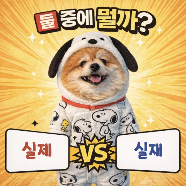 실제 vs 실재 2026: 헷갈리는 맞춤법, 명확히 구분하는 법