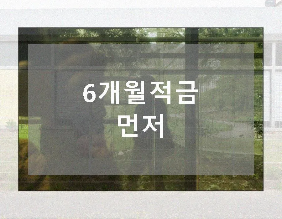 6개월 적금 연말정산 공제 2026년 혜택 총정리