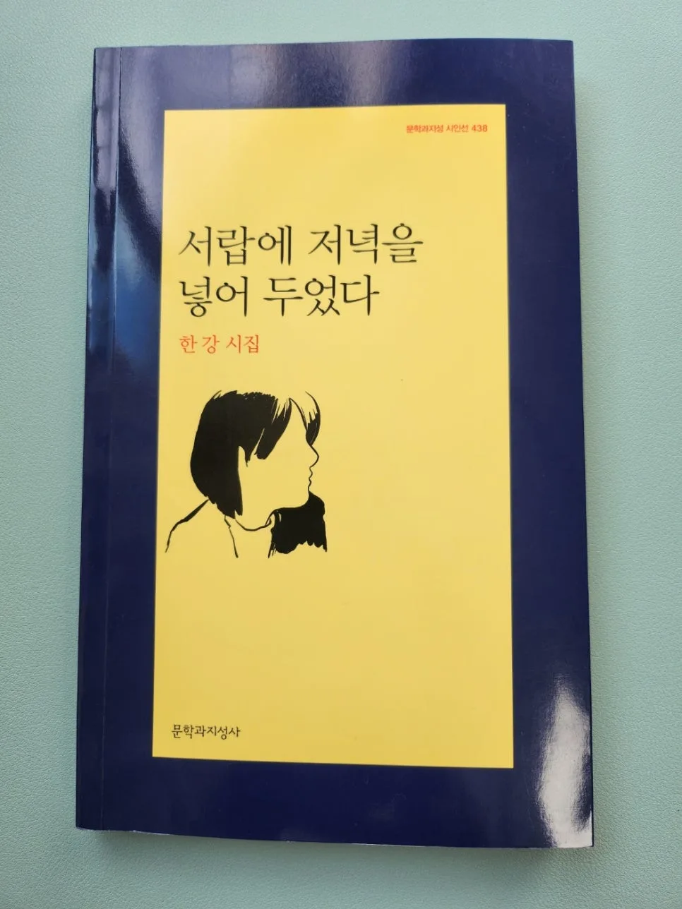 한강 시집 '밥'으로 본 상실감과 추억, 2026년 재해석 3