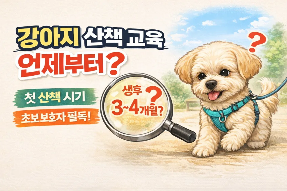 강아지 첫 산책 교육, 언제부터 시작해야 할까? (2026년 최신 가이드)