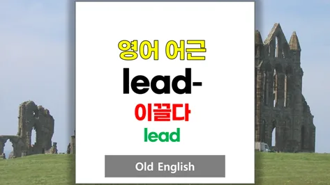 영어 어근 'lead' 계열 단어 완벽 정리 (2026년 최신)