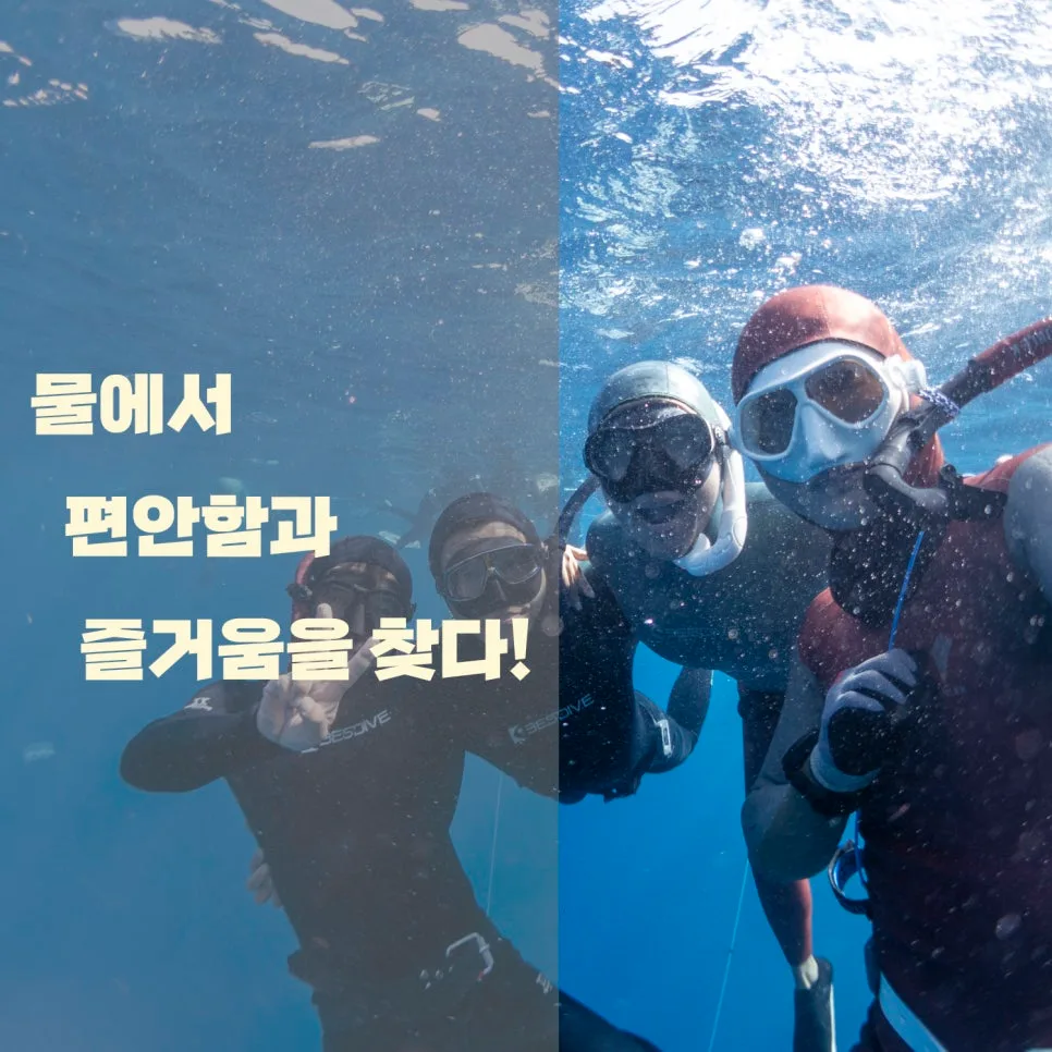 다합 프리다이빙 자격증, 한국서 미리 배우는 법 2026