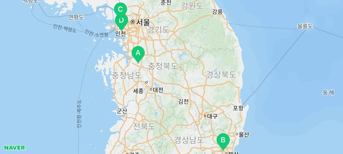 스피츠 강아지 종류별 성격 완벽 분석 2026