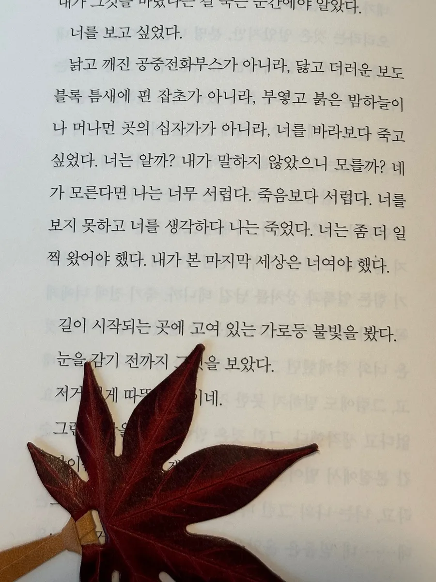 2025년 상반기 추천 도서 4권: 감상 및 핵심 요약