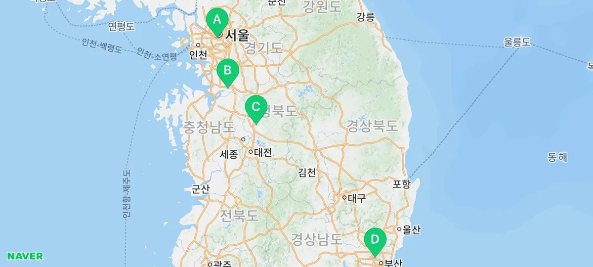 강남 강아지 분양, 도그마루 경험자가 알려주는 입양 과정 2026