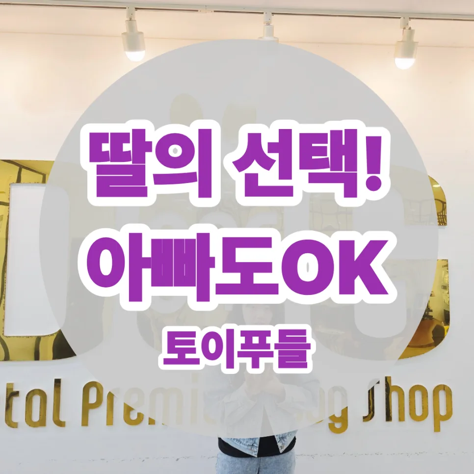 세종 토이푸들 분양 후기: 딸의 공부와 아버지의 사랑 2026