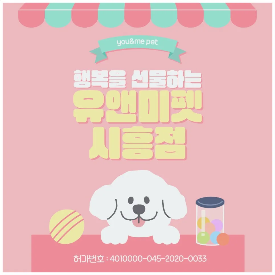 남양주 스코티시폴드 분양, 2026년 최신 정보와 후기 총정리