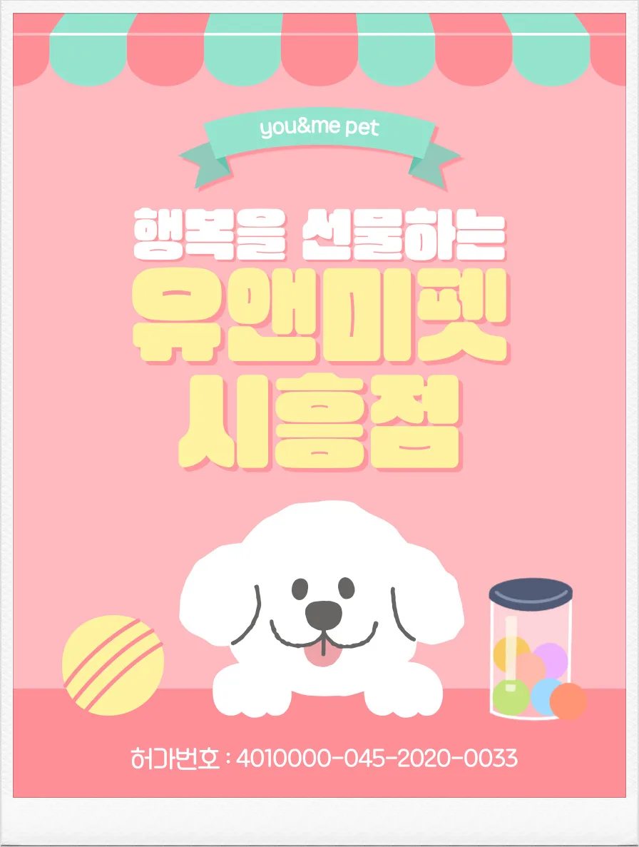 오산 푸들 분양 2026: 유앤미펫 비교 후기 및 입양 절차 총정리