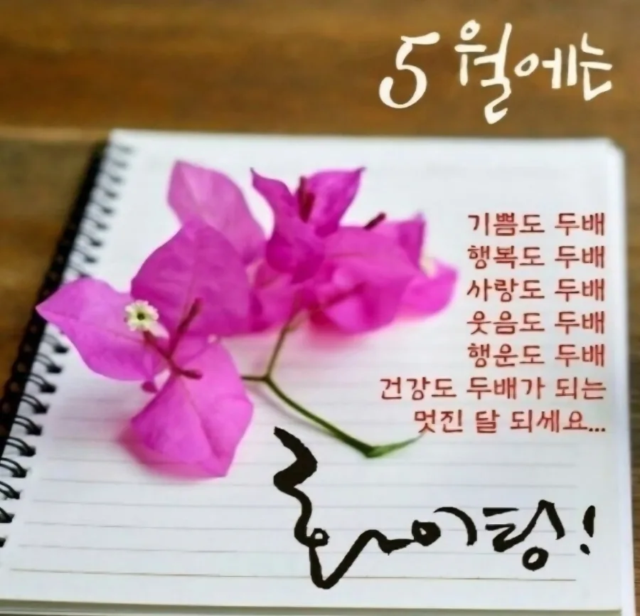 삼성생명 미니보험 2026: 보장 범위, 조건, 가입 팁 총정리