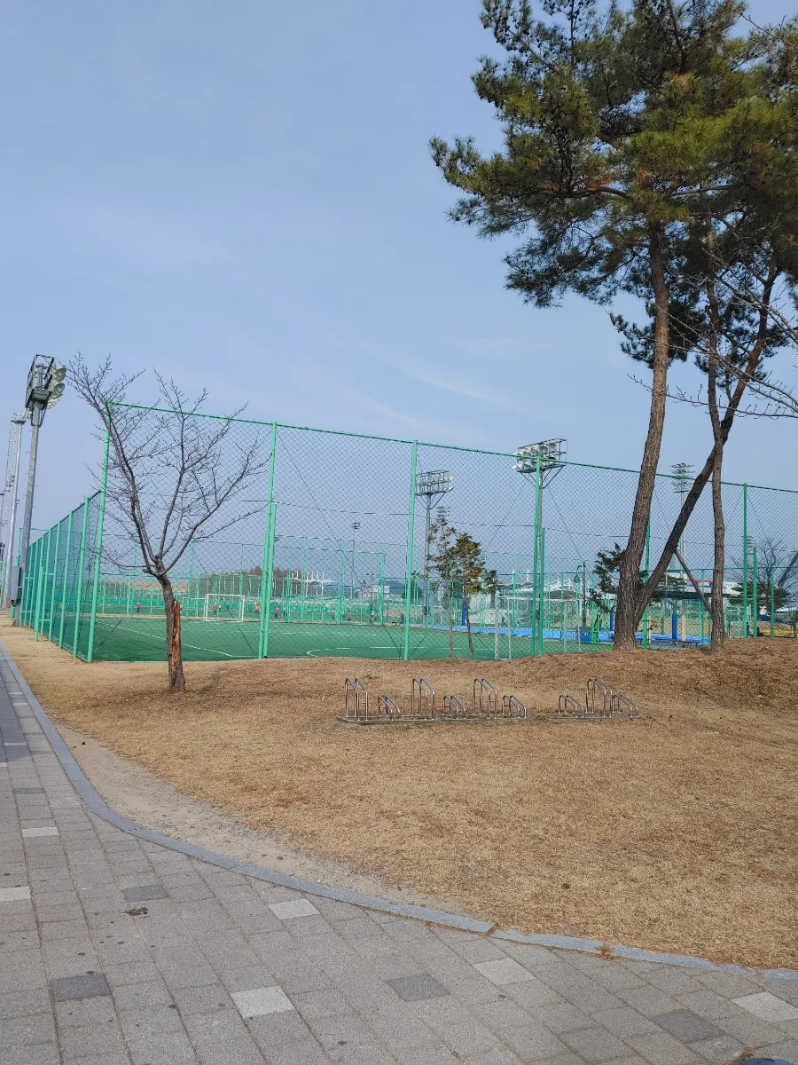 함안 문화 여행 2026: 문학관·한자문화관·도서관 코스 추천