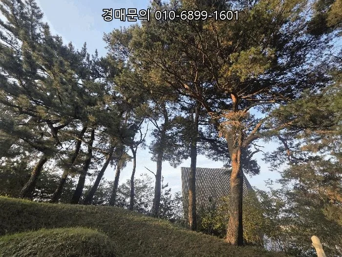 강릉 포남동 근린시설 경매: 43억 최저가 기회 분석 2026