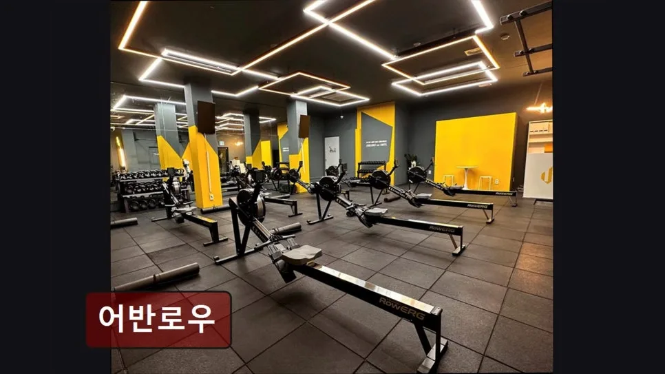 홍대 로잉 PT 2026: 어반로우 그룹 수업 효과와 무료 체험 정보