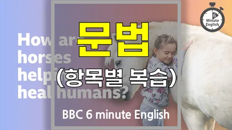 말이 치유하는 힘: 인간의 몸과 마음을 치유하는 방법 2026