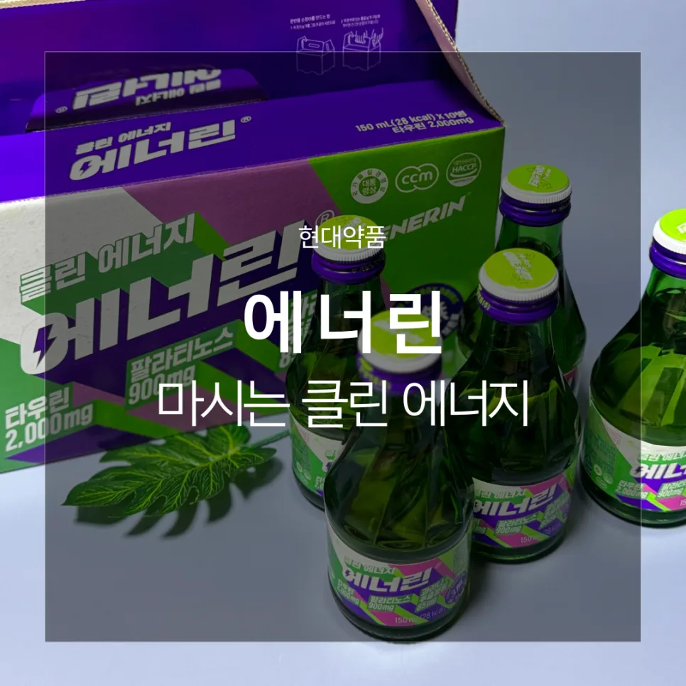 에너린 효과, 밤샘 작업 위한 클린 에너지 음료 2026년 총정리