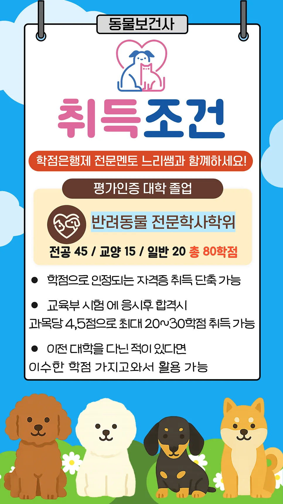 고졸도 가능한 동물보건사 응시자격? 학점은행제 활용법 2026