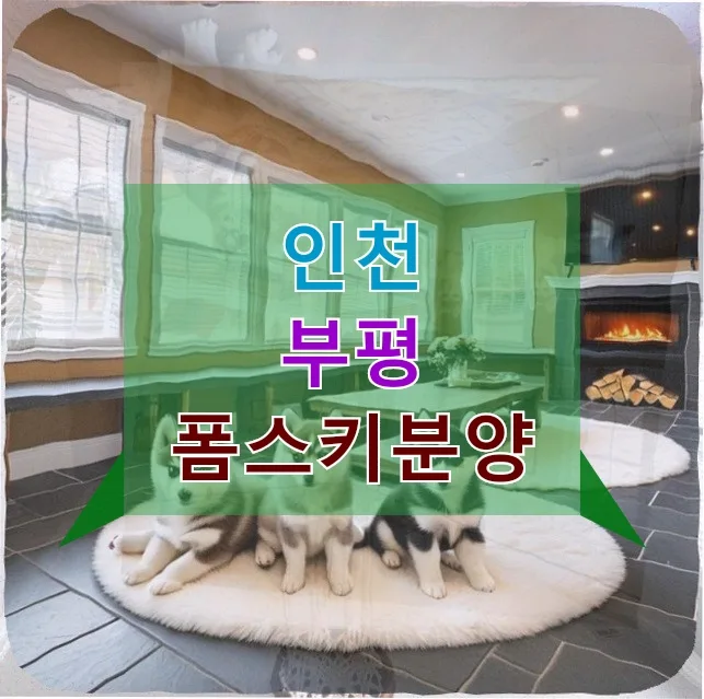 폼스키 혈변, 초보 반려주가 겪은 응급 상황 대처법 2026