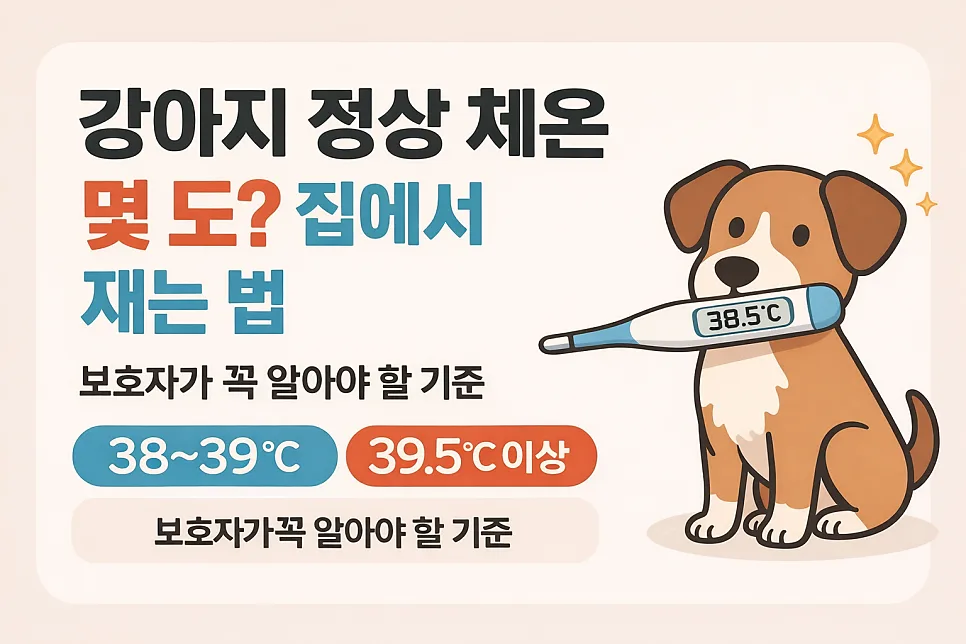강아지 정상 체온 38~39.2°C: 집에서 정확히 재는 법 2026