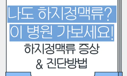 하지정맥류 치료, 수술, 회복기간 2026년 완벽 정리 2