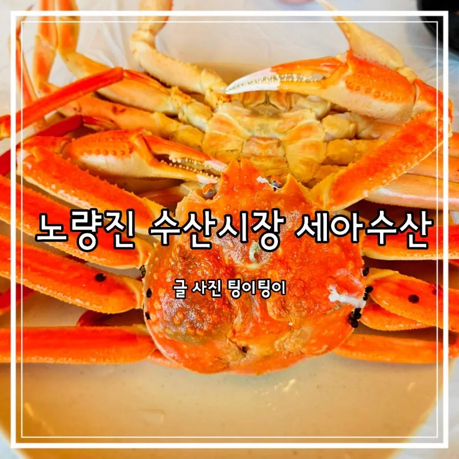 노량진 대게 맛집 세아수산, 40년 전통 비결과 솔직 후기 2026