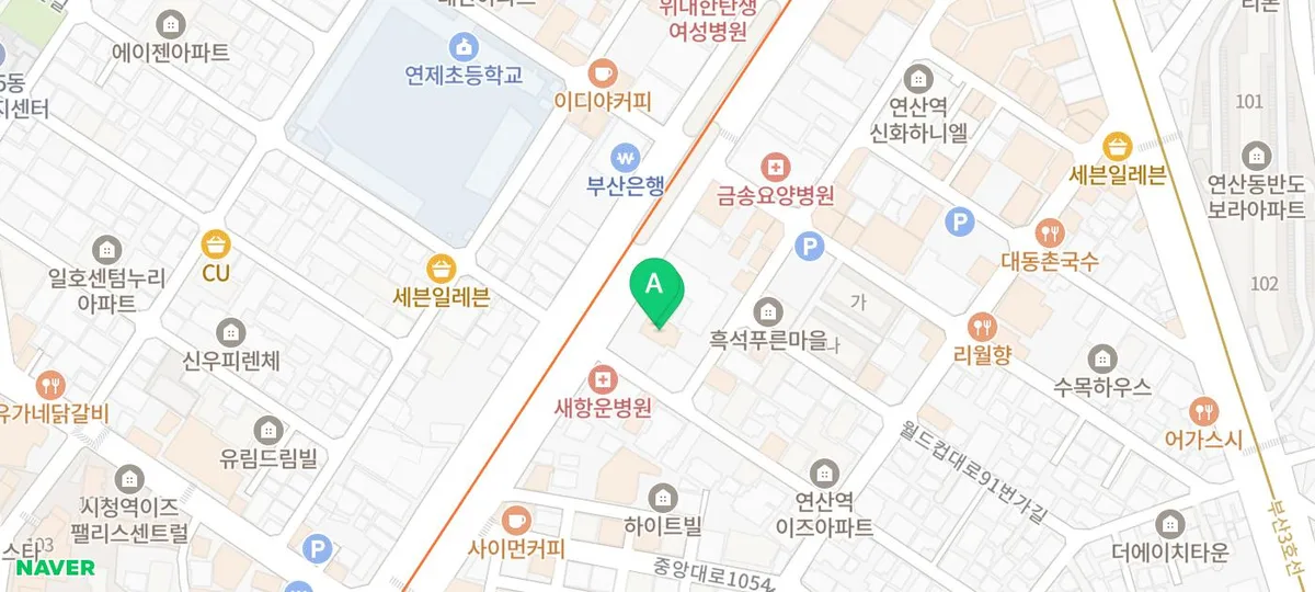 부산 강아지 분양, 사전 조사 필수인 이유 2026년 완벽 가이드