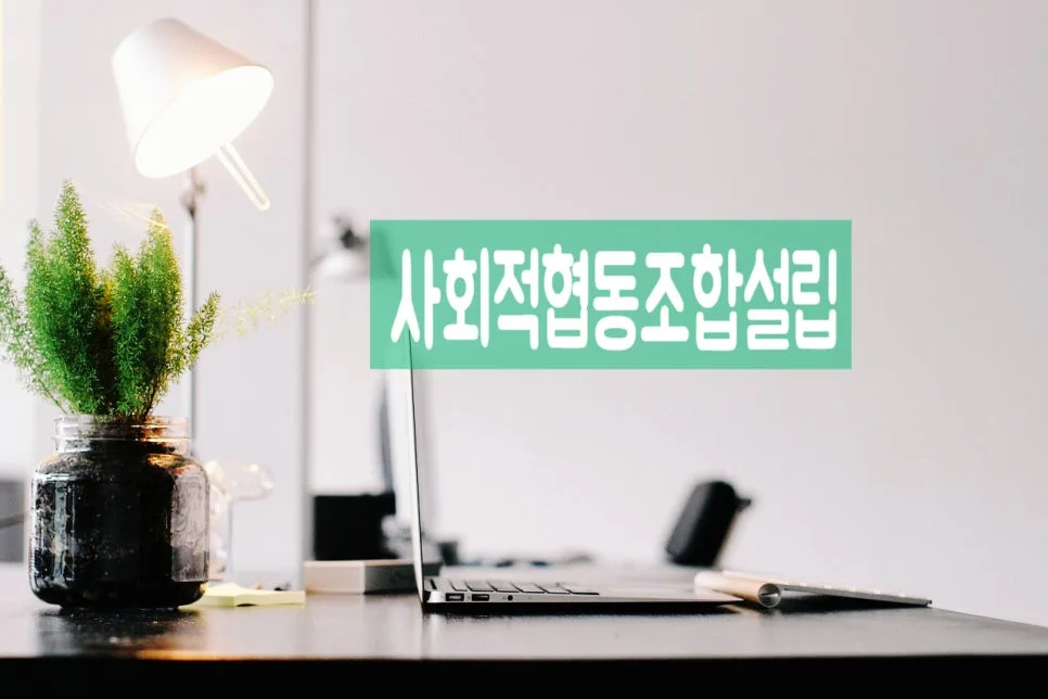 사회적협동조합 설립 절차 A to Z (2026년 최신 가이드)