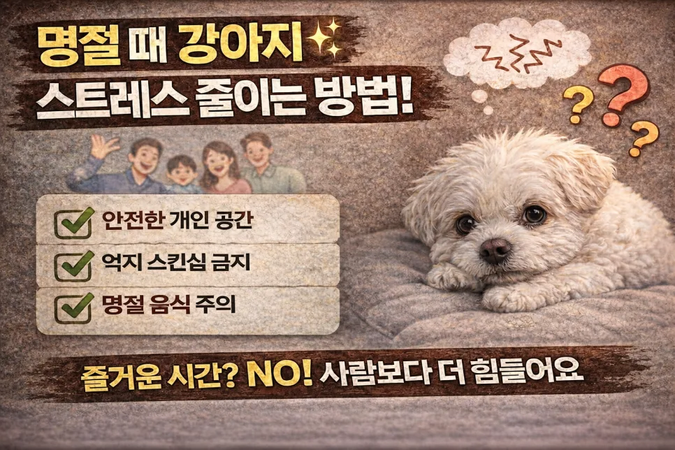 명절 강아지 스트레스 줄이는 방법 5가지 (2026년 최신)