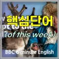 BBC 6분 영어 2026년 최신 자료: 추위에 적응하는 법 완벽 분석