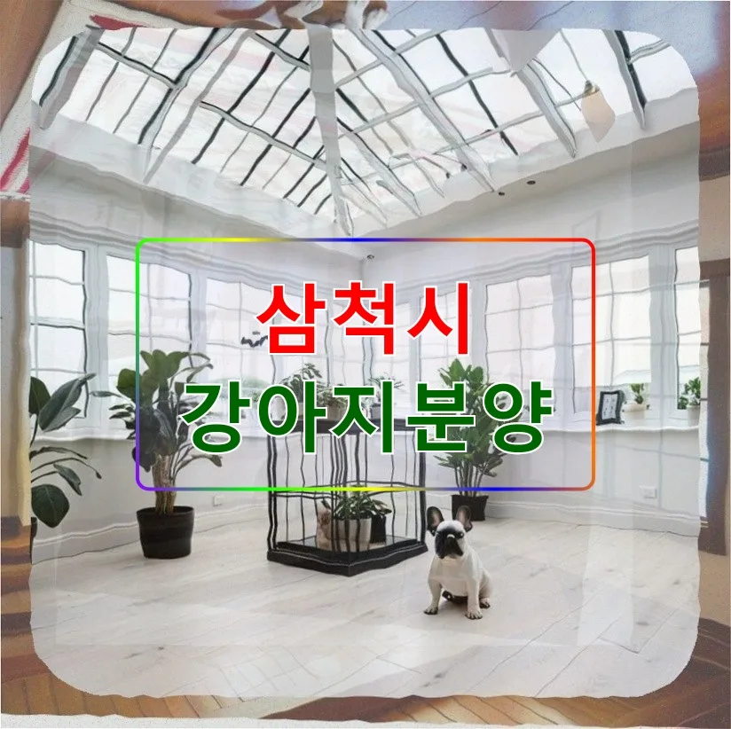 삼척 강아지 입양 2026: 외로움 극복 후기 및 절차 총정리