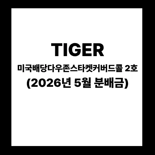 TIGER 미국배당다우존스타겟커버드콜2호 분배금 2026년 5월, 놓치면 후회할 핵심 정리