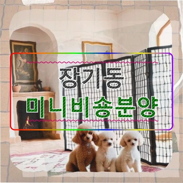 미니비숑 분양 전 필수 확인 사항 5가지 (2026)