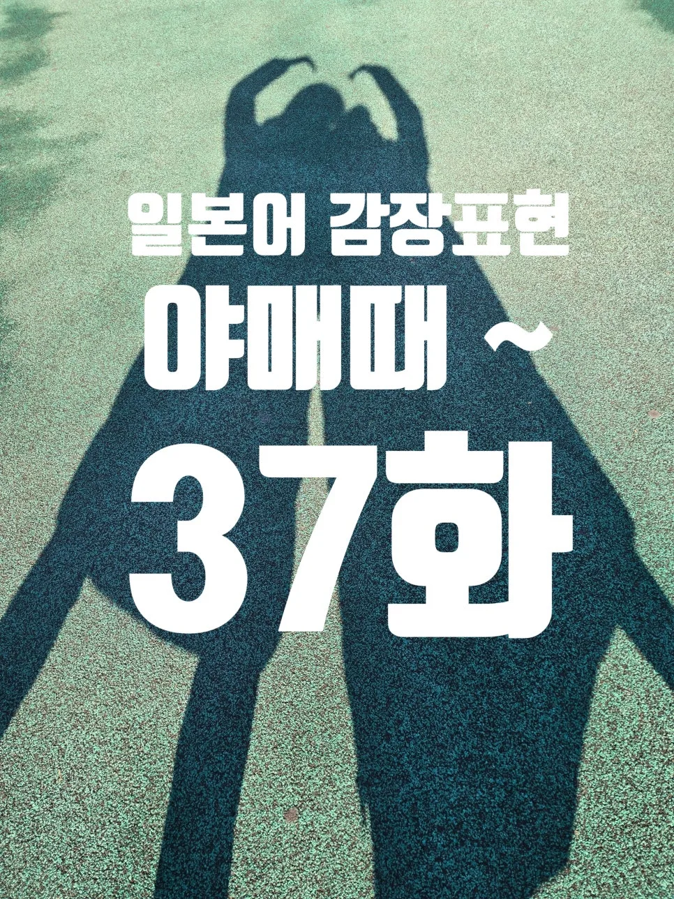 일본어 기초 단어 2026: '스고이'부터 '오이시이'까지 어원 총정리