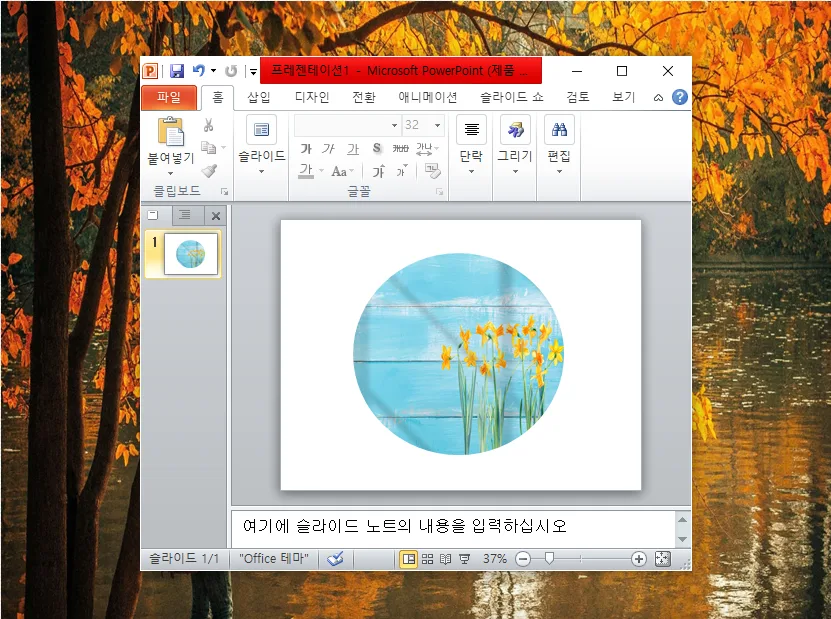 파워포인트 사진 동그랗게 자르기: 2026년 최신 편집 팁